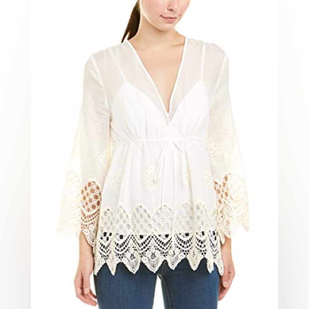 BCBGMaxAzria see through dress